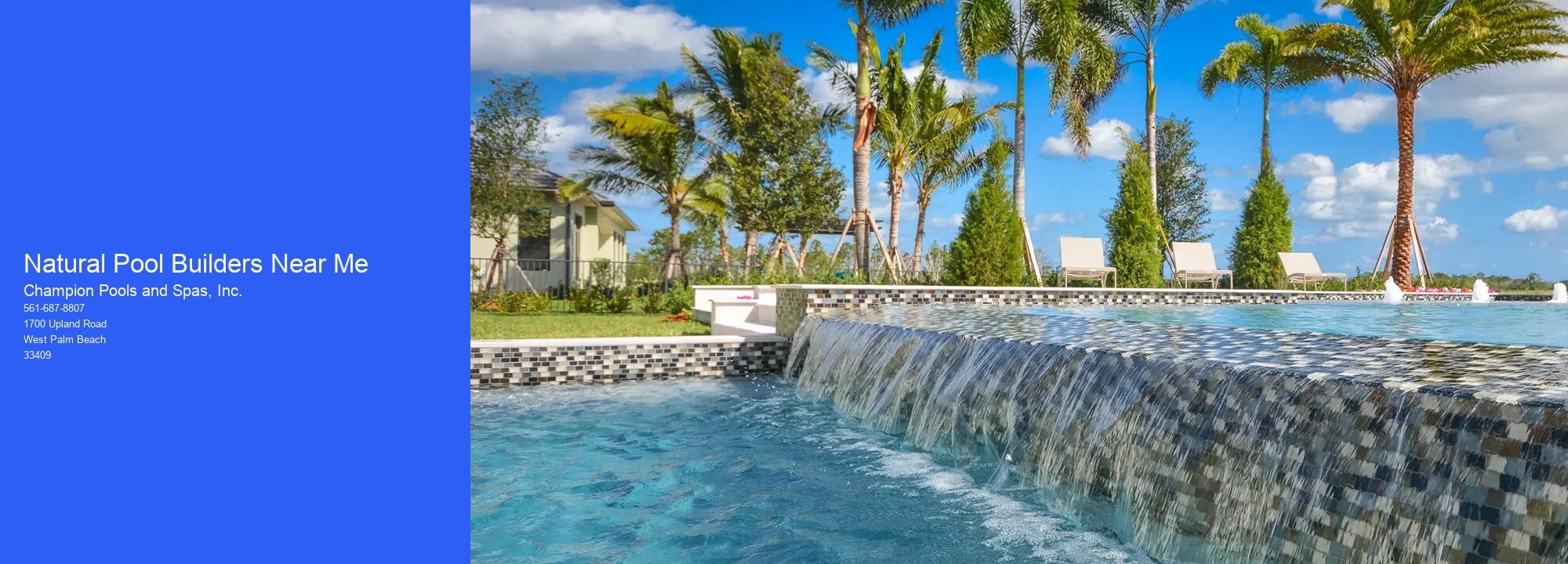 Natural Pool Builders Near Me